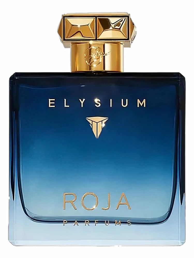 Roja Elysium Pour Homme Parfum Cologne Men 100ml/3.4oz Tester